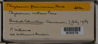Image Associated With the Occurence